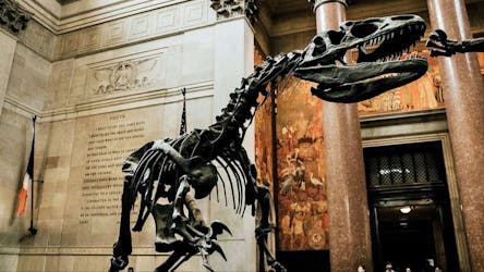 American Museum of Natural History ticket and self-guided audio tour